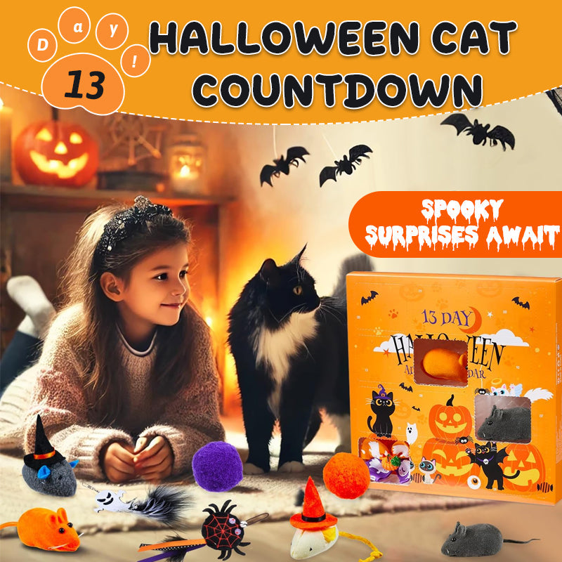 🎃 13-Day Halloween Cat Countdown — Spooky Surprises Await