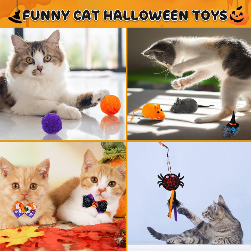 🎃 13-Day Halloween Cat Countdown — Spooky Surprises Await
