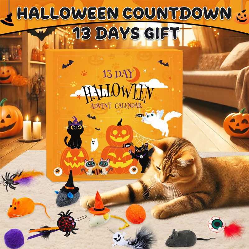 🎃 13-Day Halloween Cat Countdown — Spooky Surprises Await