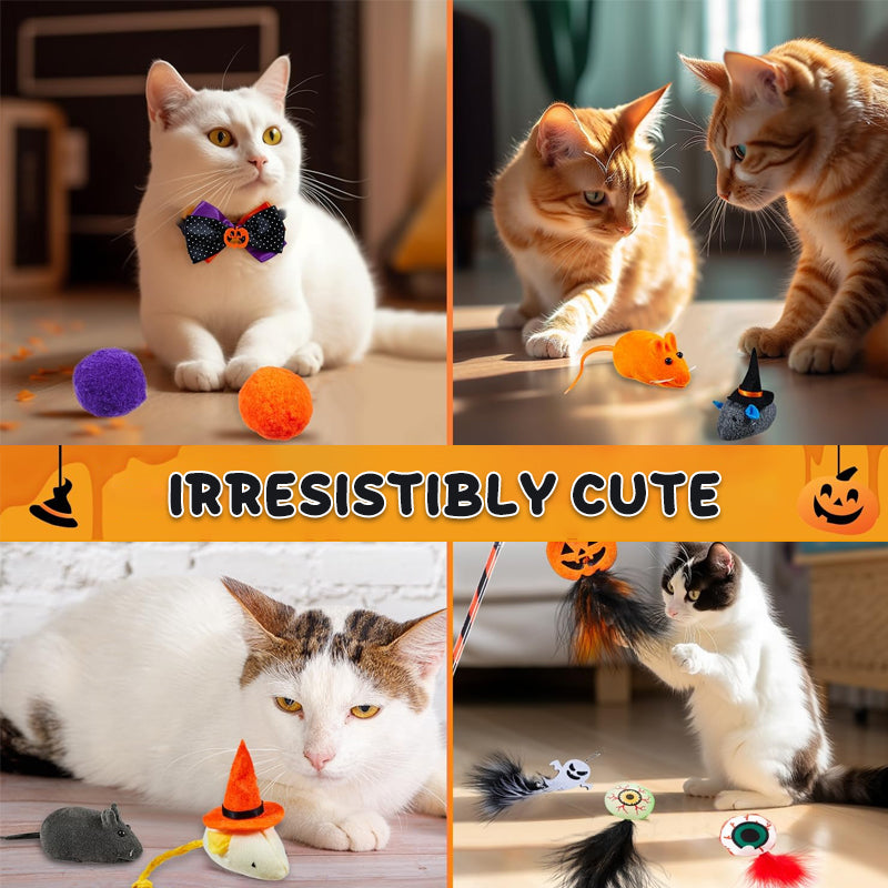 🎃 13-Day Halloween Cat Countdown — Spooky Surprises Await
