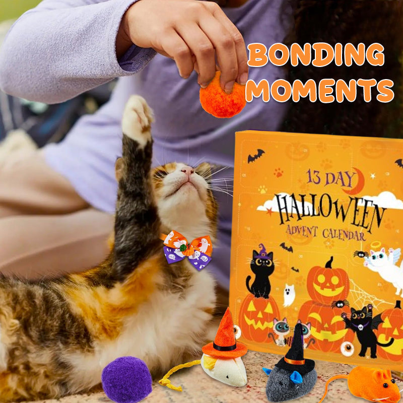 🎃 13-Day Halloween Cat Countdown — Spooky Surprises Await