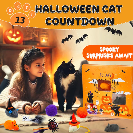 🎃 13-Day Halloween Cat Countdown — Spooky Surprises Await