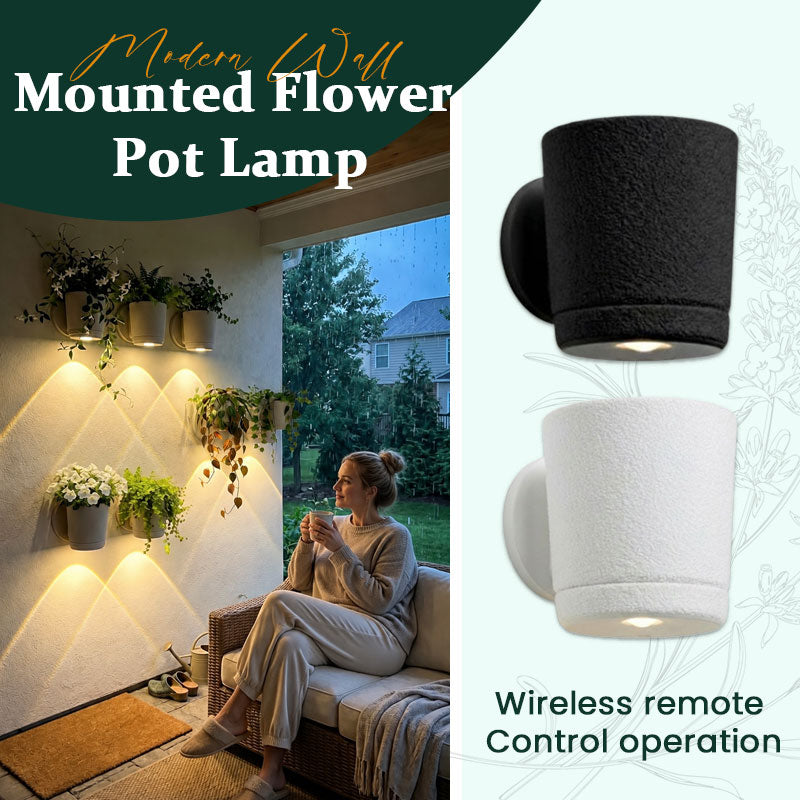 Modern Floating Indoor Plant Shelf Decor