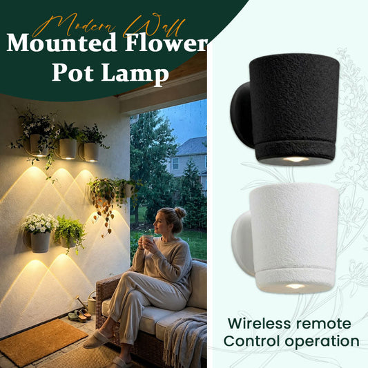 Modern Floating Indoor Plant Shelf Decor