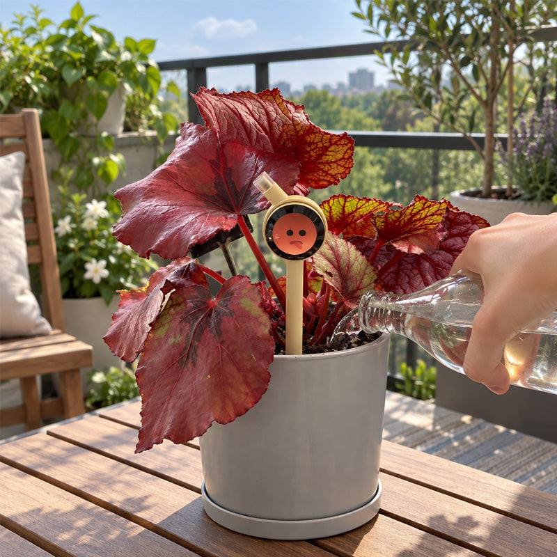 Smart Plant Care Magic Wand—AI Plant Health Monitoring Assistant