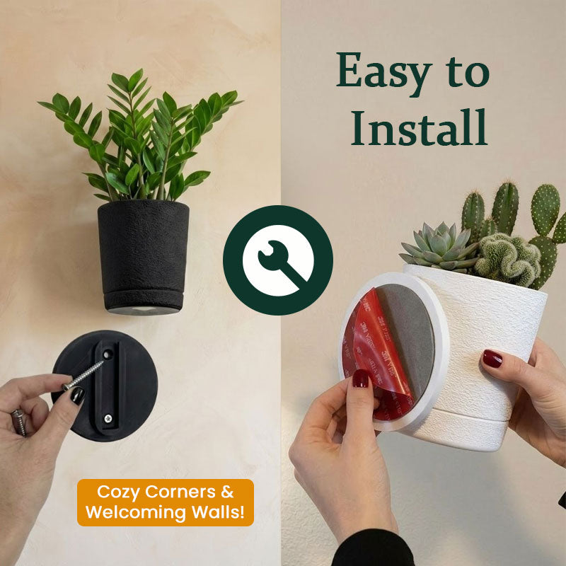 Modern Floating Indoor Plant Shelf Decor